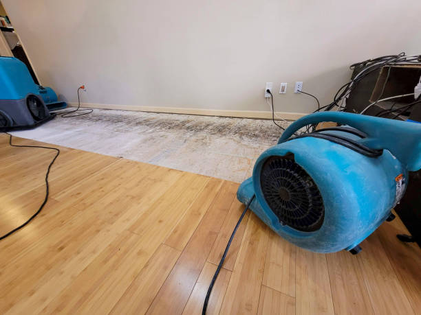 Professional Water Removal technician working in Westwood, CA